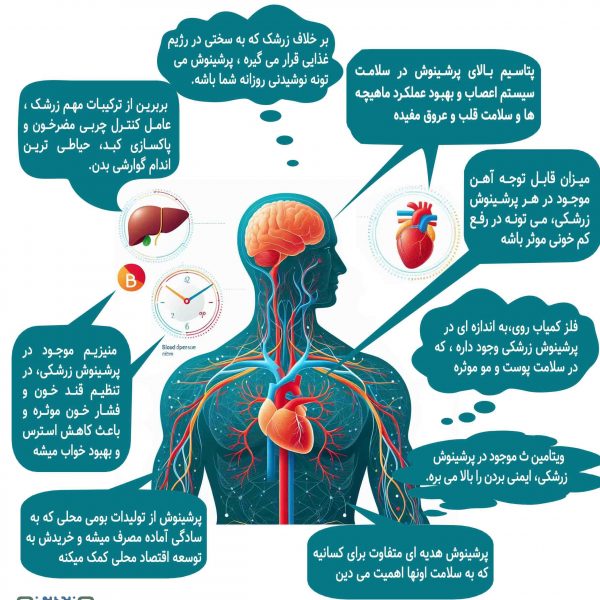 ۹ دلیل برای نوشیدن دمنوش زرشکی پرشینوش